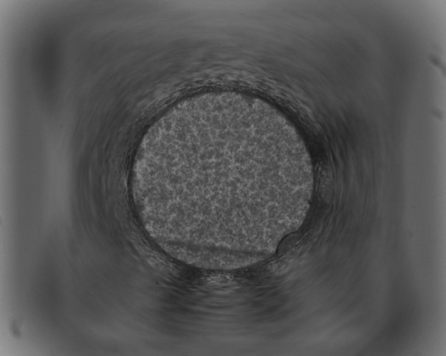 X0000092221489200710121146