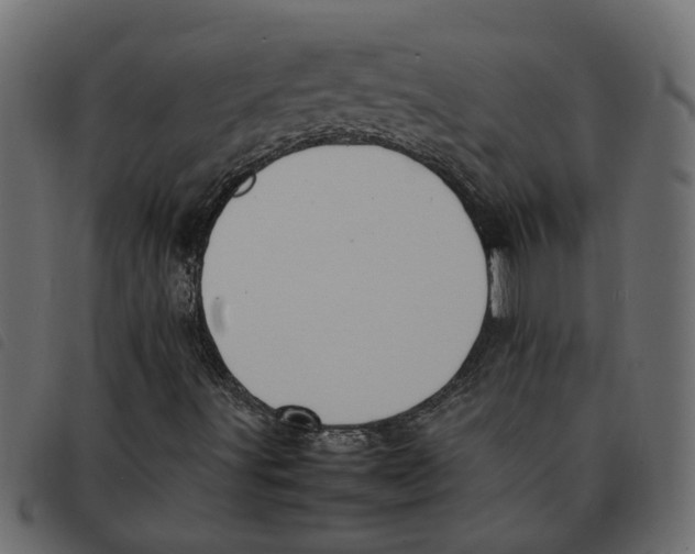 X0000092221491200710121146