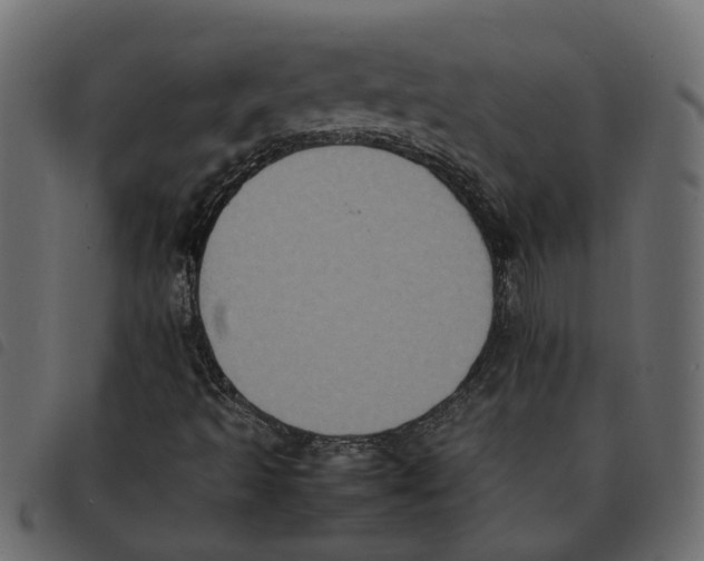 X0000092221493200710121146