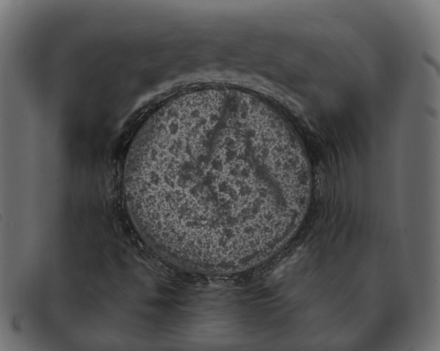 X0000092221494200710121146