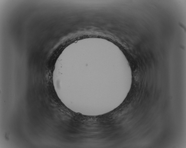 X0000092221495200710121146
