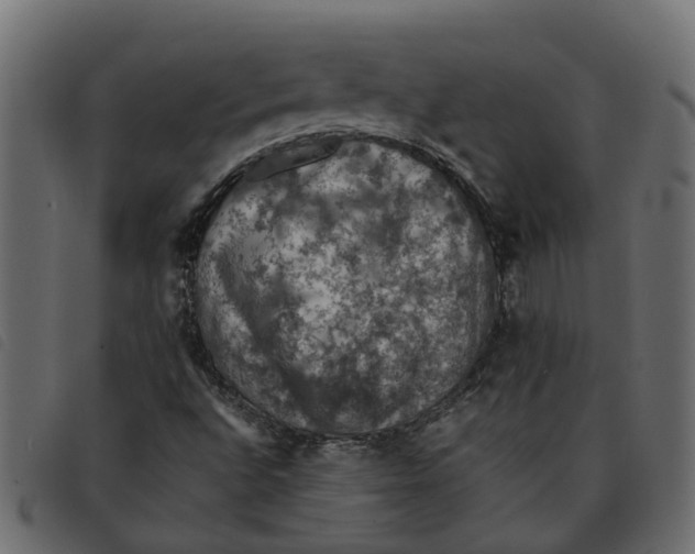 X0000092221496200710121146