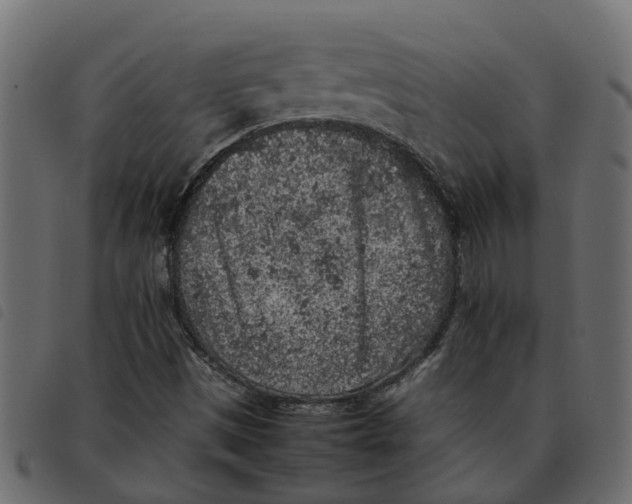 X0000092221497200710121146