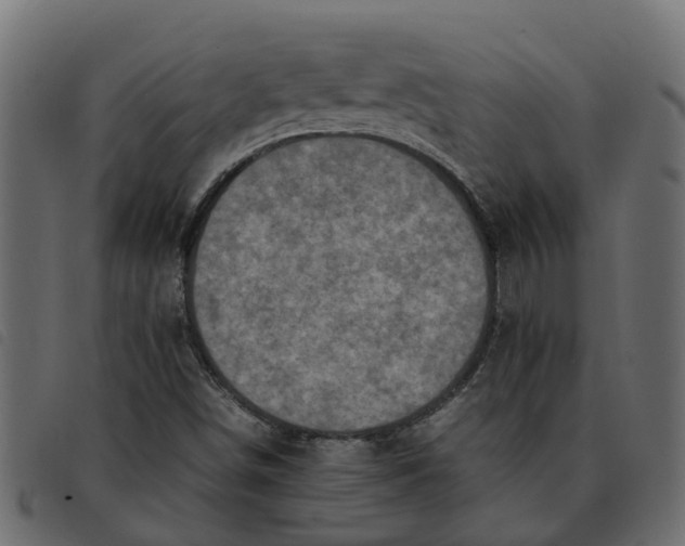 X0000092221498200710121146