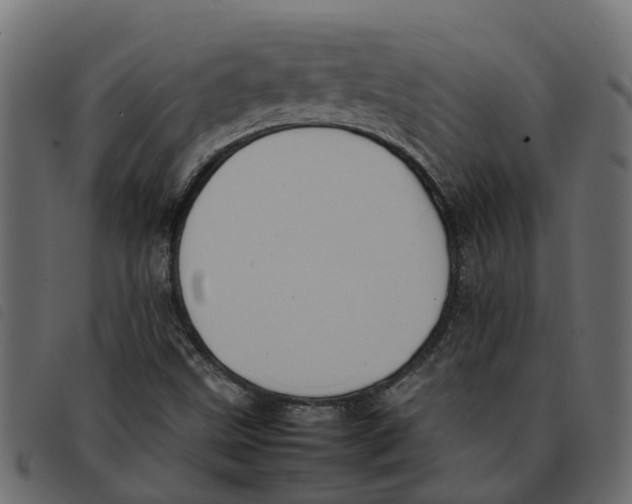 X0000092221499200710121146