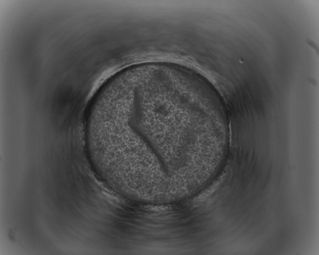 X0000092221501200710121146
