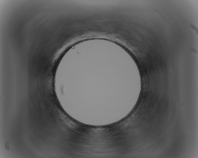 X0000092221502200710121146