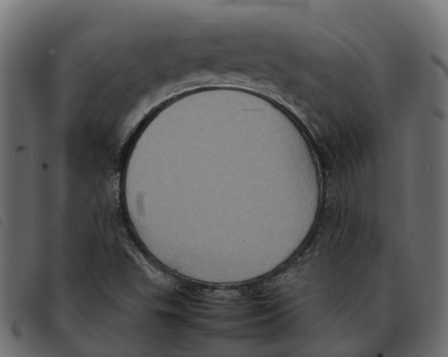 X0000092221503200710121146
