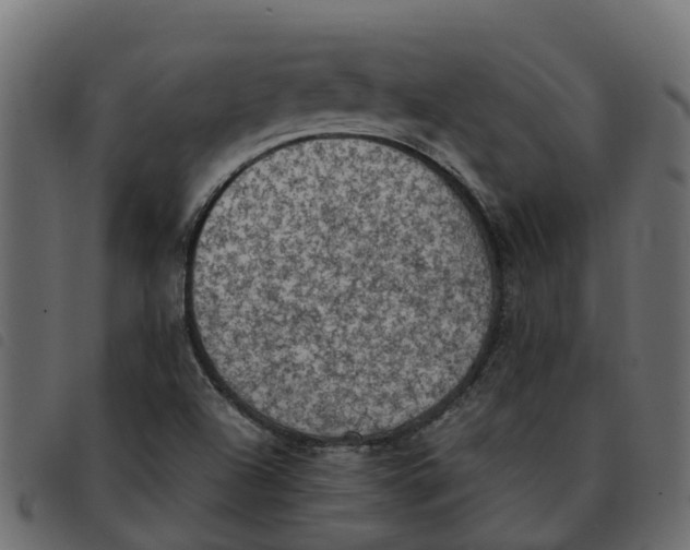 X0000092221504200710121146