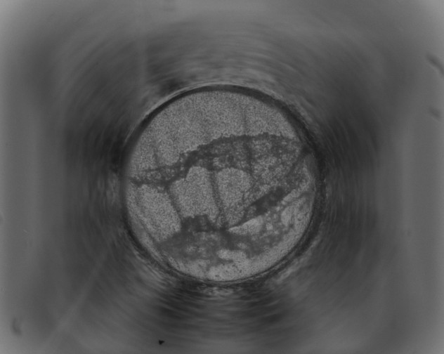 X0000092221505200710121146