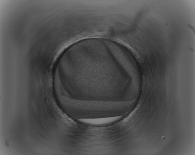 X0000092221506200710121146