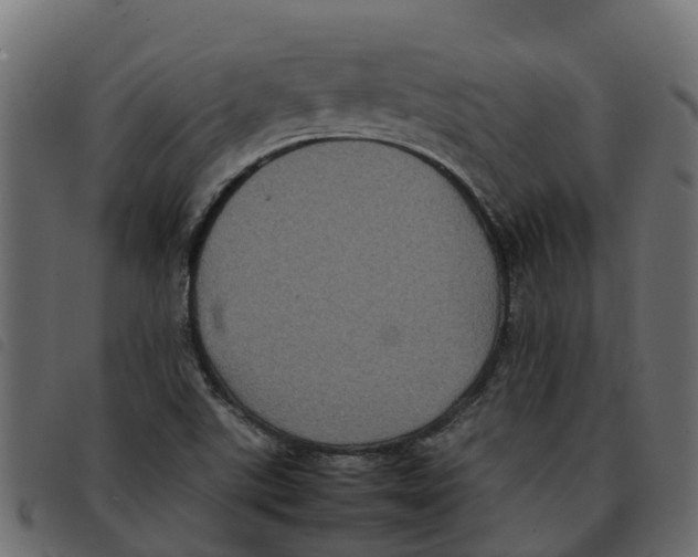 X0000092221507200710121146