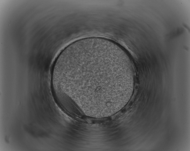X0000092221508200710121146