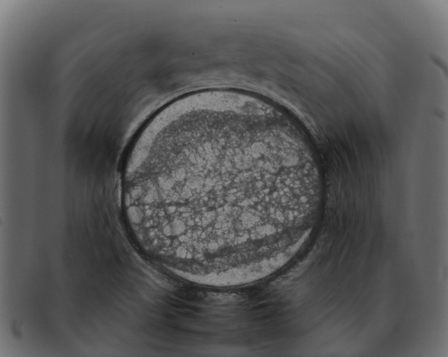 X0000092221509200710121146