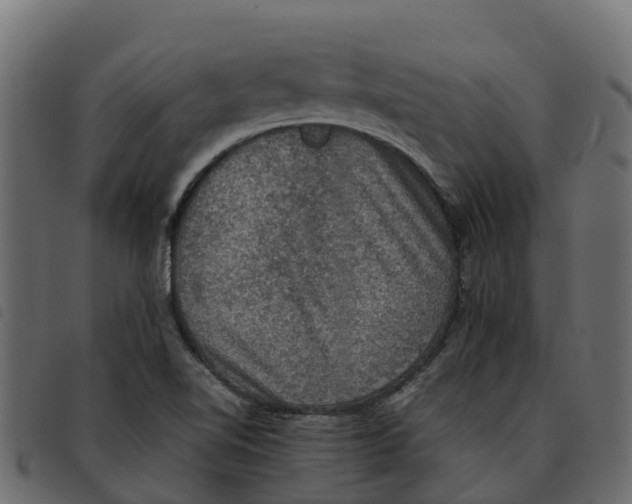 X0000092221510200710121146
