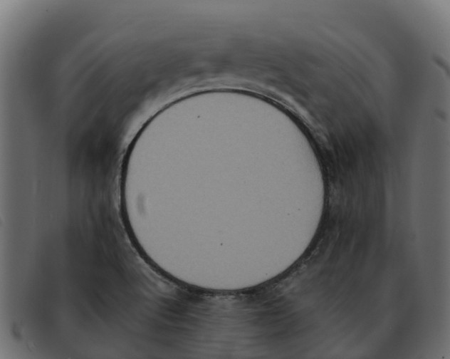 X0000092221512200710121146