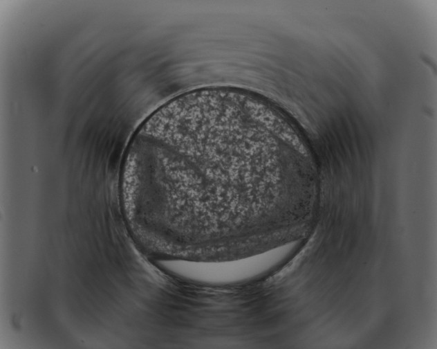 X0000092221513200710121146