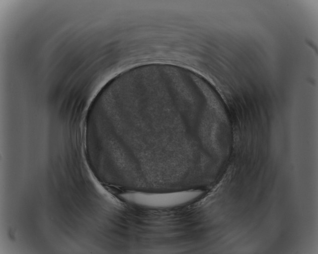 X0000092221515200710121146