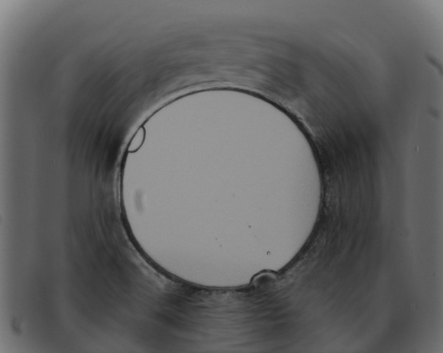 X0000092221516200710121146
