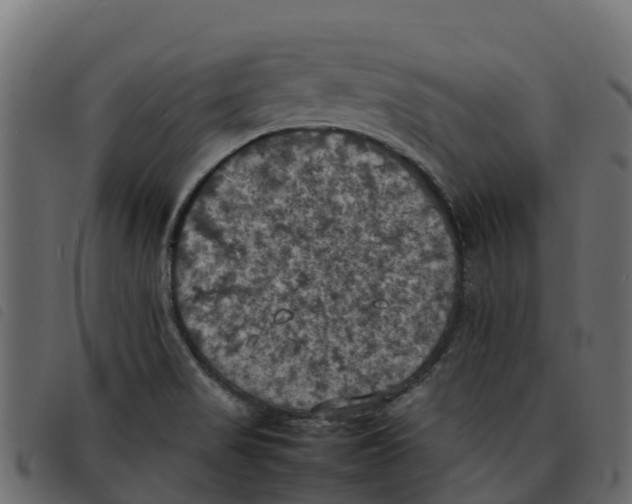 X0000092221517200710121146