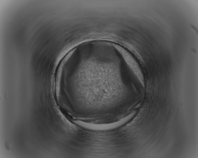 X0000092221520200710121146