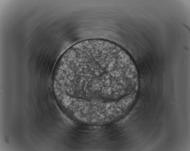 X0000092221521200710121146