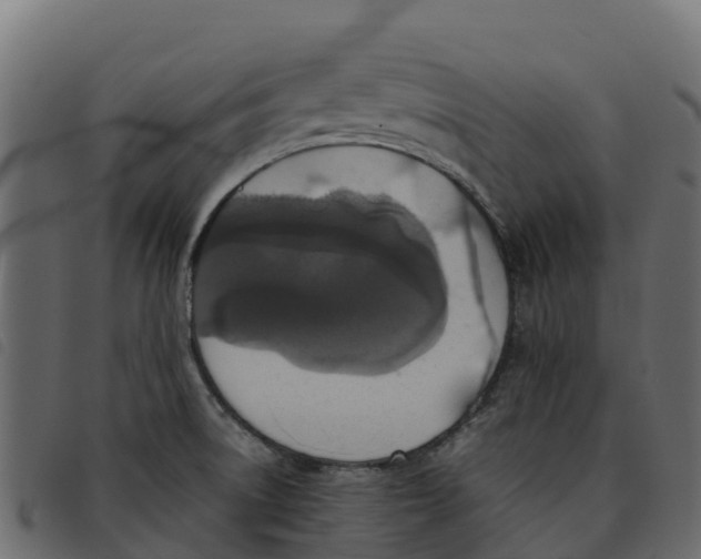 X0000092221522200710121146