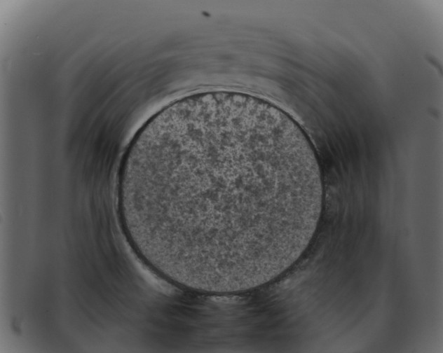 X0000092221523200710121146