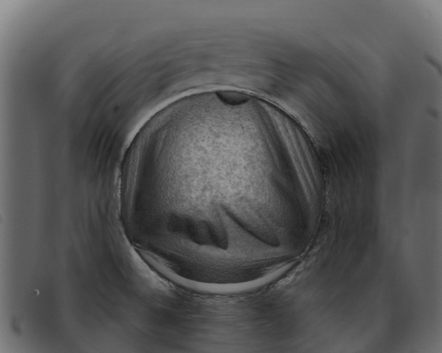 X0000092221524200710121146