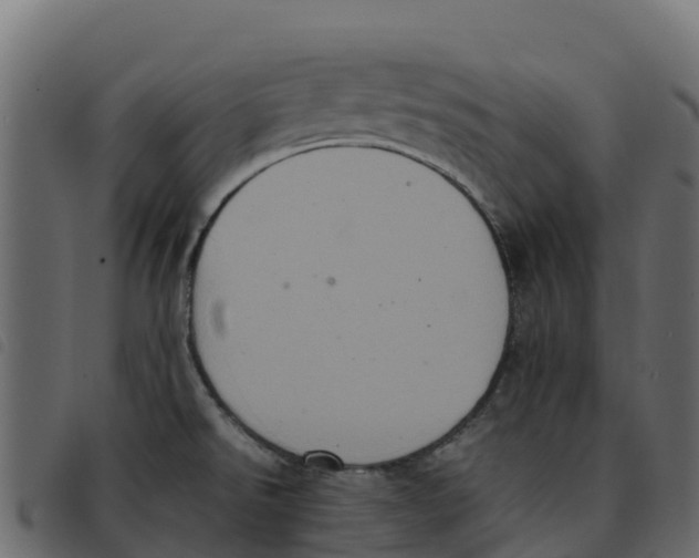 X0000092221526200710121146