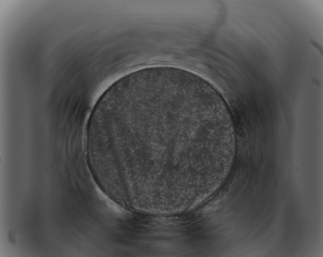X0000092221527200710121146