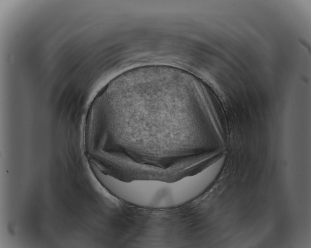 X0000092221528200710121146
