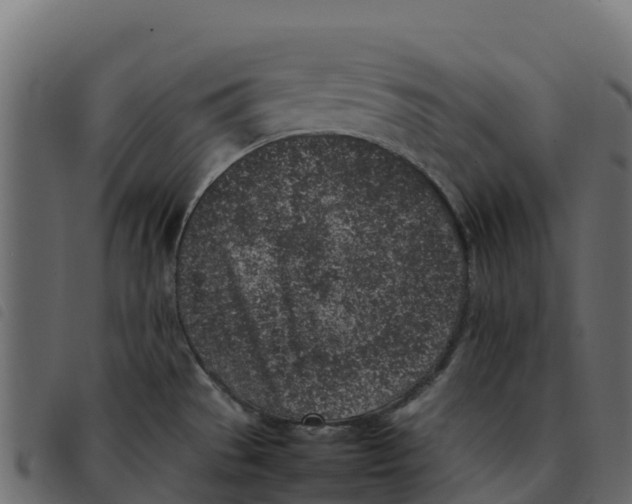 X0000092221529200710121146