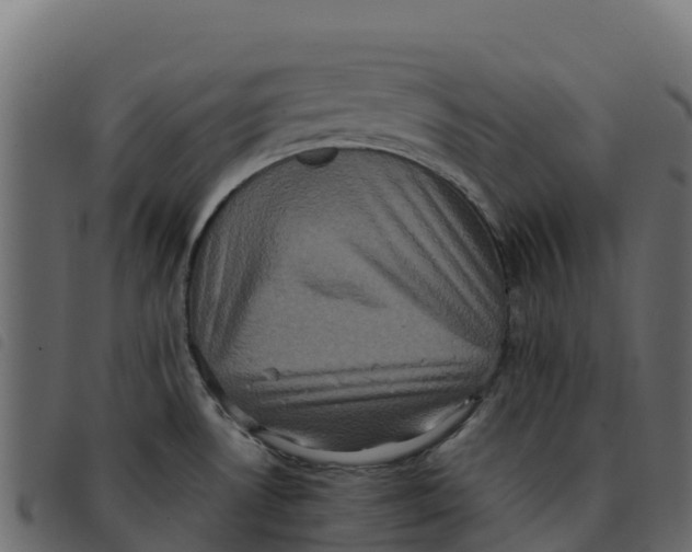 X0000092221530200710121146