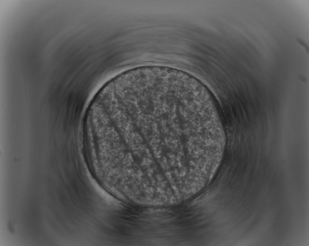 X0000092221531200710121146