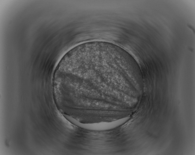 X0000092221532200710121146