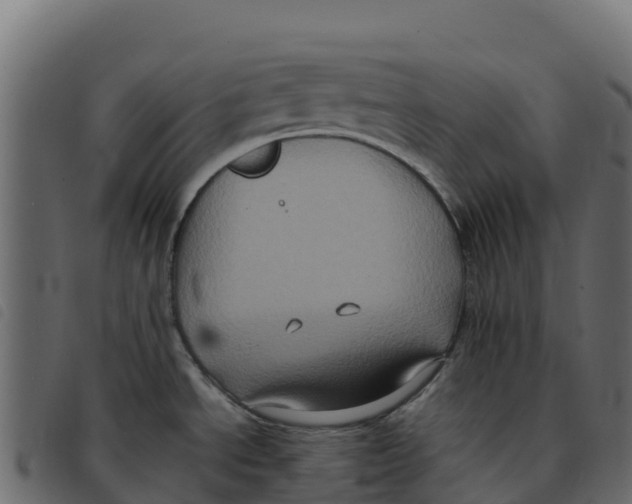 X0000092221534200710121146
