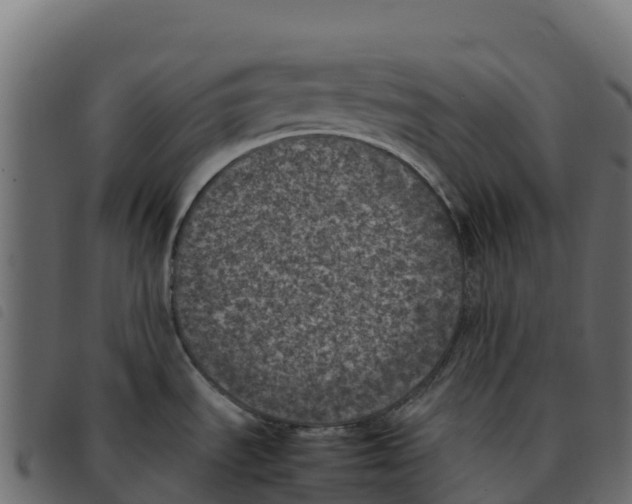 X0000092221535200710121146