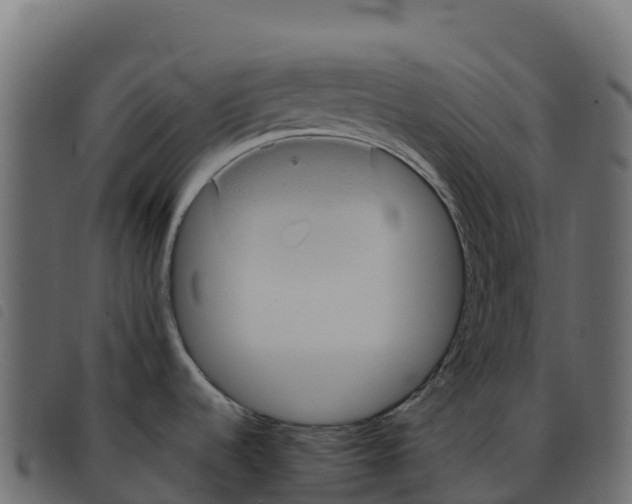 X0000092221536200710121146