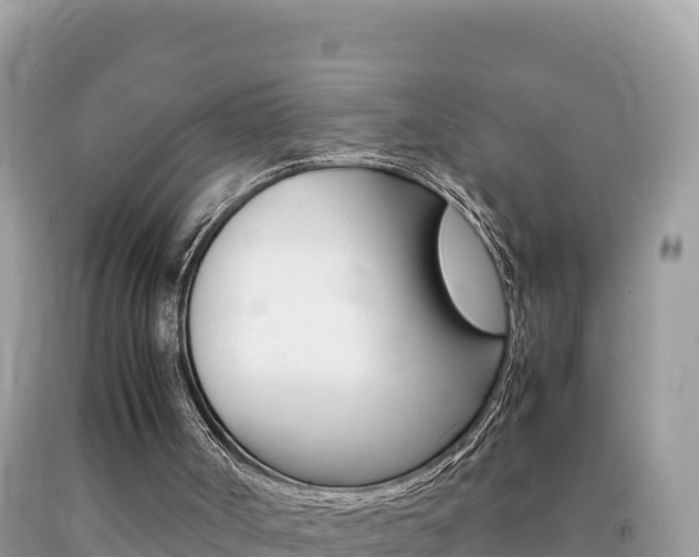 X0000092230002200709140951