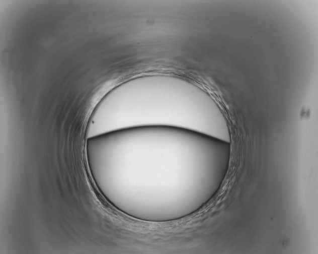 X0000092230003200709140951