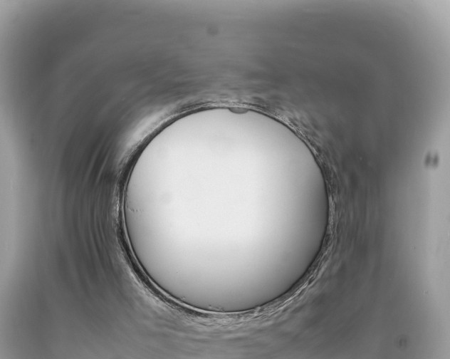 X0000092230005200709140951