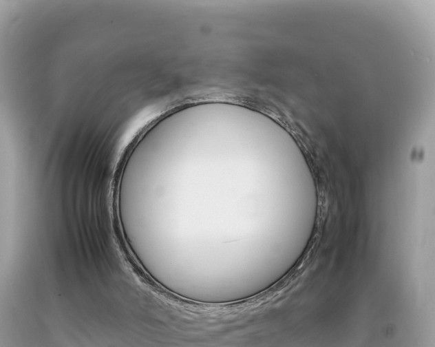 X0000092230006200709140951