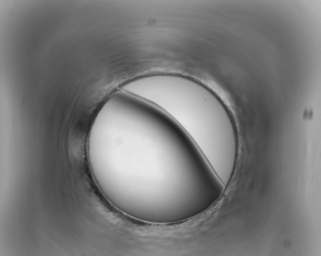X0000092230009200709140951