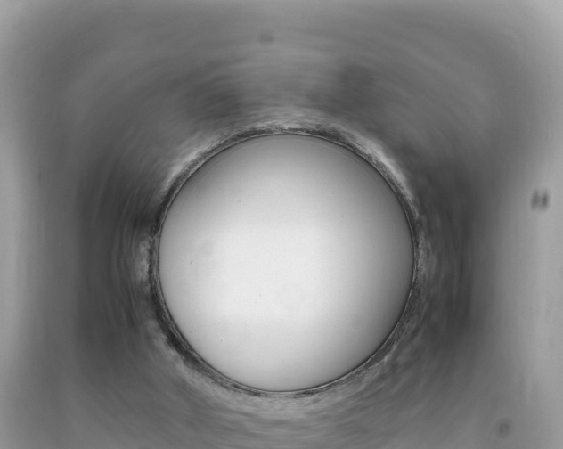 X0000092230010200709140951