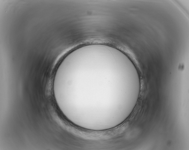 X0000092230012200709140951