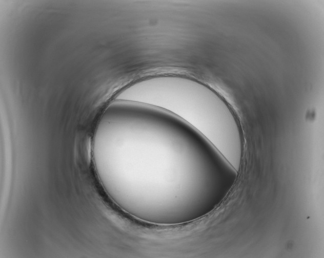 X0000092230013200709140951