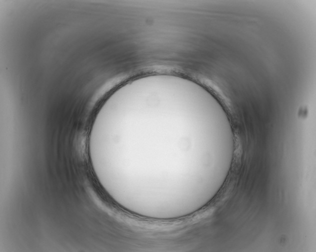 X0000092230016200709140951