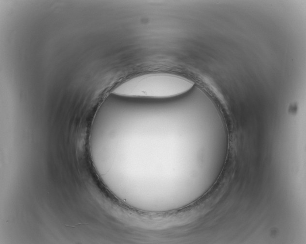 X0000092230018200709140951