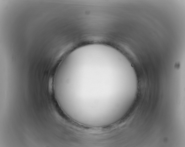 X0000092230024200709140951